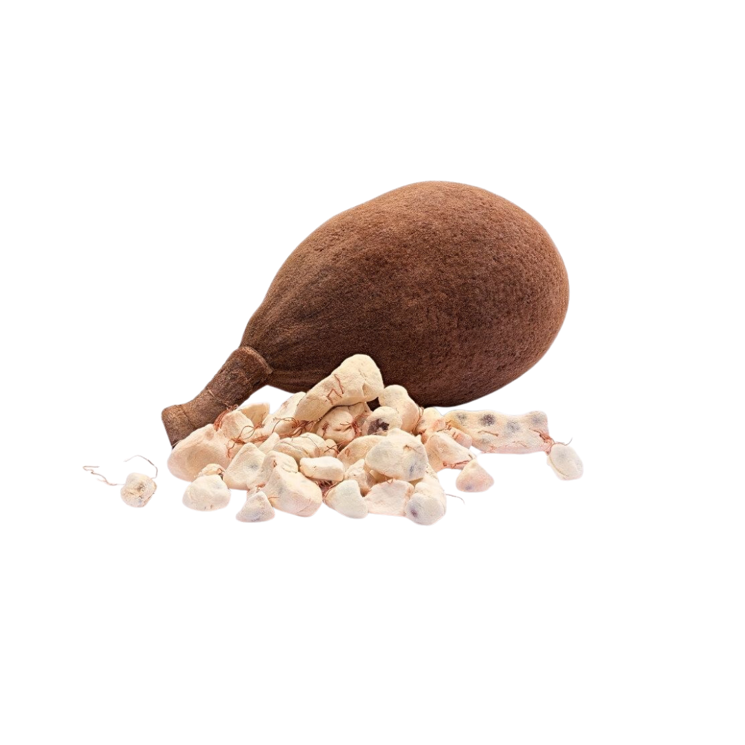 baobab powder