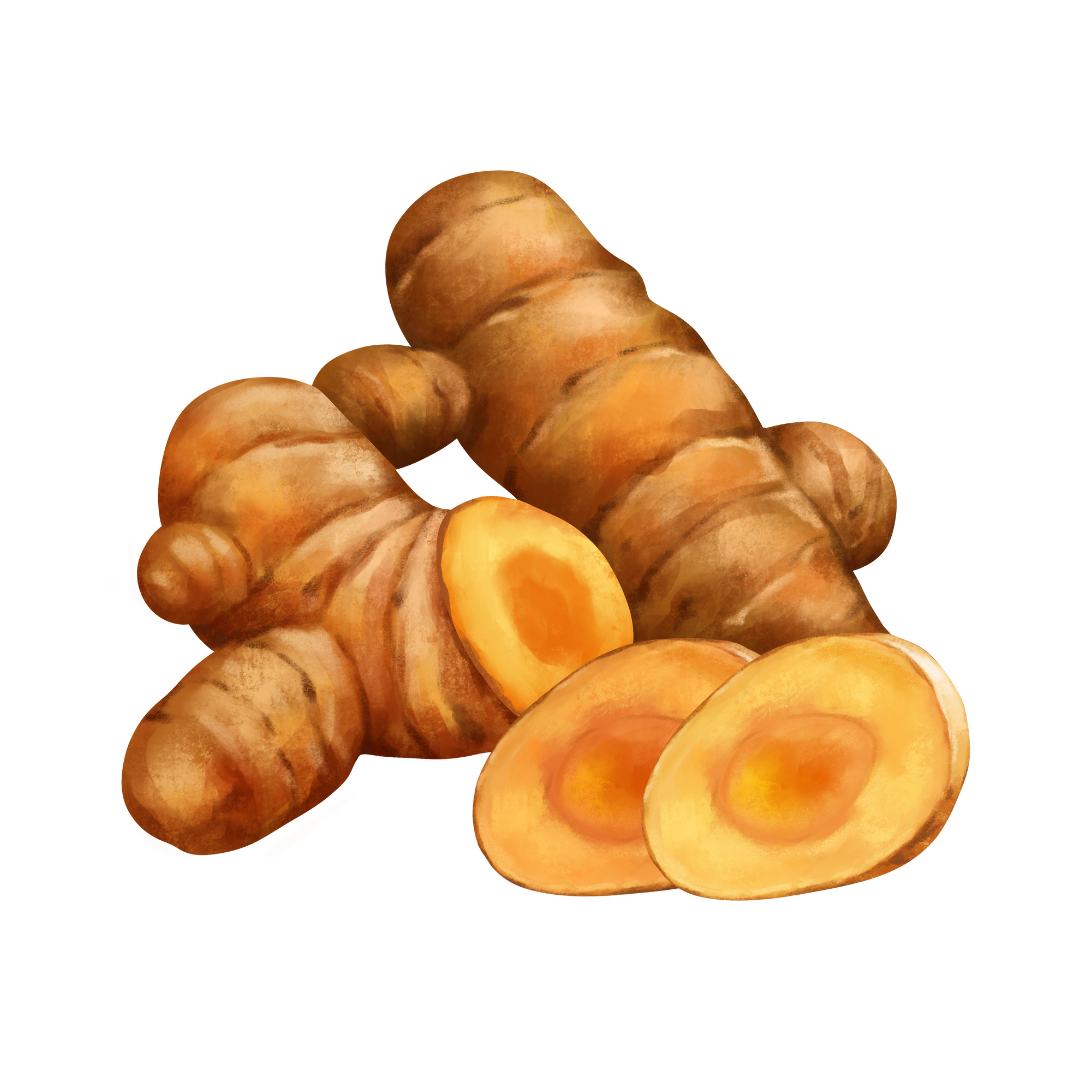 turmeric powder